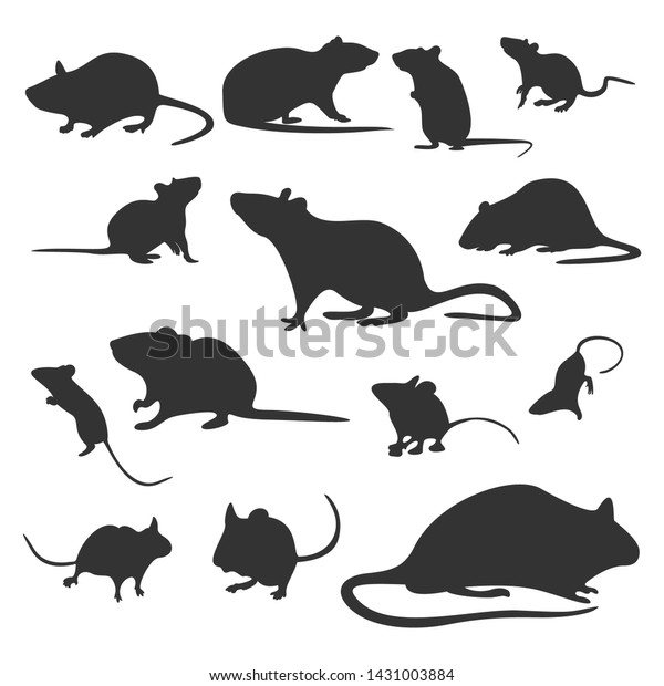 Set Mouse Design Vector Silhouette Mouse Stock Vector (Royalty Free ...