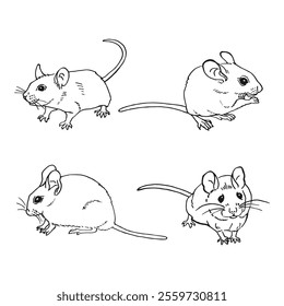 Set of mouse. Hand drawn vector illustration.