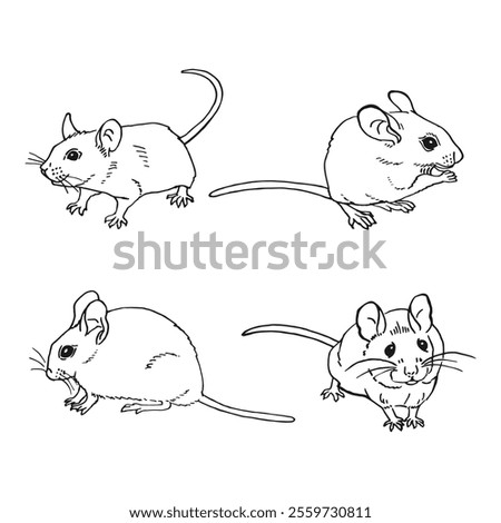Set of mouse. Hand drawn vector illustration.