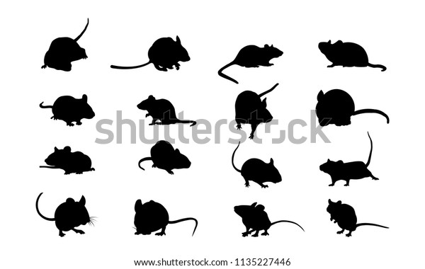 Set Mouse Silhouette Vector Illustration Stock Vector (Royalty Free ...