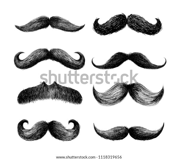 Vector De Stock Libre De Regalias Sobre Conjunto De Bigotes