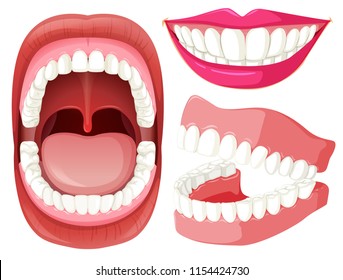 Set of mouth and teeth illustration