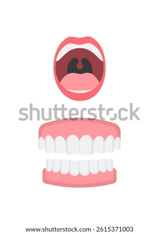 Set of mouth and teeth. Open mouth  and dentures or false teeth Stock illustration. Vector Illustration 