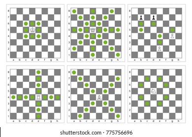 Set of movement of chess pieces. Vector illustration