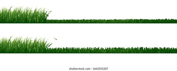 Set of mowed grass isolated on white background.
