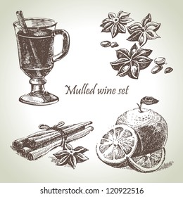 Set of mulled wine, fruit and spices, hand drawn illustrations