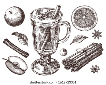  Set of mulled wine, fruit and spices, hand drawn illustrations