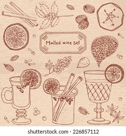 Set of mulled wine, fruit and spices, hand drawn illustrations. Hot wine.