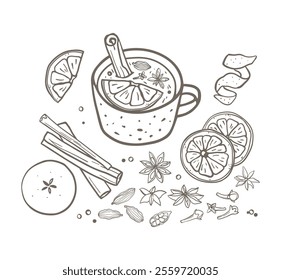 Set of mulled wine, fruit and spices hand drawn illustrations