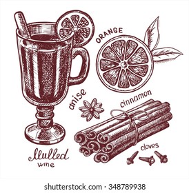 Variedad de vino a la parrilla, fruta y especias. Ilustraciones hechas a mano