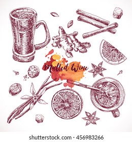 Set of mulled wine, hand drawn ingredients  fruit and spices, hand drawn illustrations. Vector collection.
