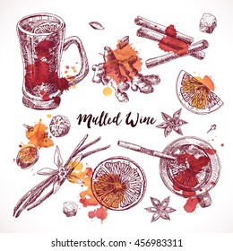 Set of mulled wine, hand drawn ingredients  fruit and spices, hand drawn illustrations. Vector collection.
