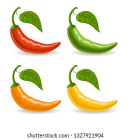Set with multicolor peppers isolated on white background, spicy vegetables, delicious dietary product. Vector illustration