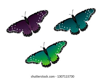 Set of multicolor vector butterflies