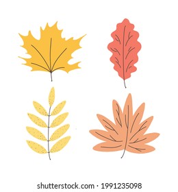 Set of multicolored autumn leaves isolated on a white background. Vector illustration in hand drawn style. Collection of simple doodles in pastel colors