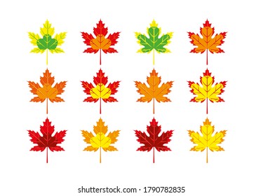 Set of multicolored autumn maple leaves. Vector illustration.