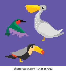 set of multicolored birds. pixel art 
graphics. vector