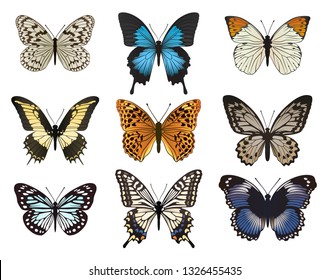 Set of multicolored butterflies.