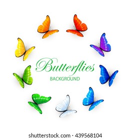 Set of multicolored butterflies arranged in a circle isolated on white background, illustration.