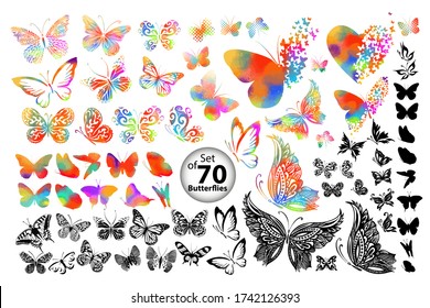 Set of multi-colored butterflies. Monochrome graceful butterflies. Vector illustration