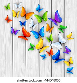 Set of multicolored butterflies on white wooden background, illustration.
