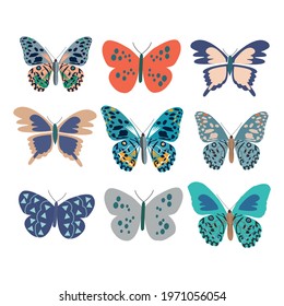 Set of multi-colored butterflies. Vector illustration on white background. 