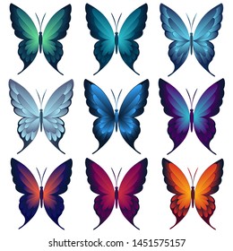 Set of multicolored  butterflies. View from above on a white  background. Isolated for decoration and design.  Vector illustration.