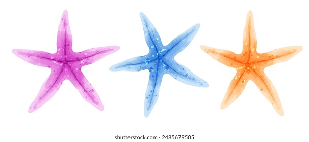 Set of multi-colored colorful starfish. Vector set of illustrations of sea animals in watercolor style isolated on white