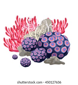 Set of multicolored coral polyps, isolated on white background. The life and growth of coral reefs. Vector illustration.