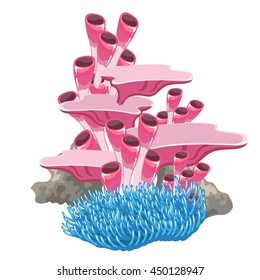 Set of multicolored coral polyps, isolated on white background. The life and growth of coral reefs. Vector illustration.