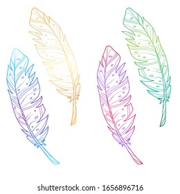 Set of multicolored feathers. Bright gradient. Vector illustration. Isolated objects on a white background. Stock vector illustration.