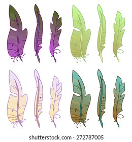 Set of multicolored feathers hand-drawn. Vector illustration.