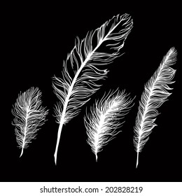 Set of multicolored feathers, isolate. With blue background. Vector