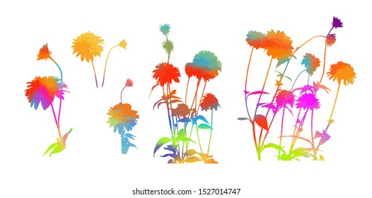 Set of multicolored flower heads. Vector illustration