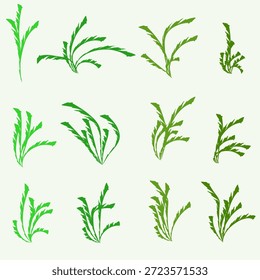 Eine Reihe mehrfarbiger grüner Grasstämme, die in Bündeln versammelt sind, einzeln auf weißem Hintergrund. Vektorgrafik für Ihre Designs im naturalistischen Stil.