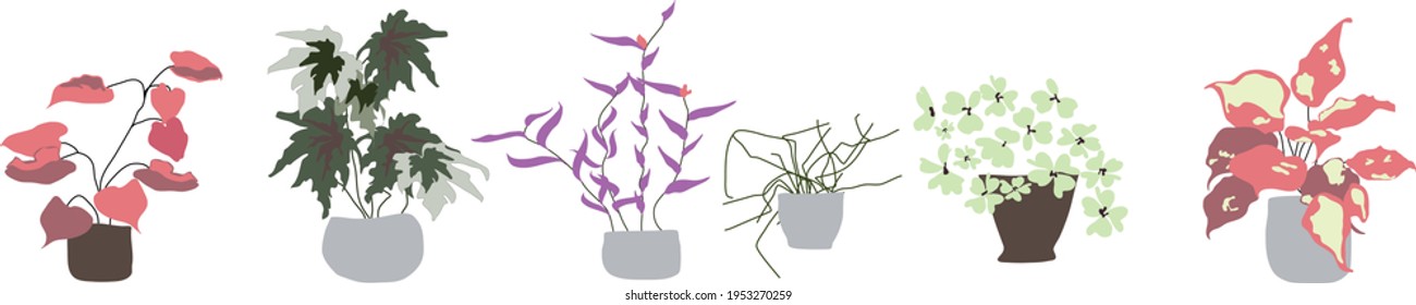 set of multicolored houseplants. home flowers of different shapes and colors. illustration on the topic of home hobbies and activities for the home