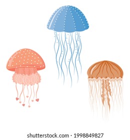 Set of multicolored jellyfish isolated on a white background, color vector illustration