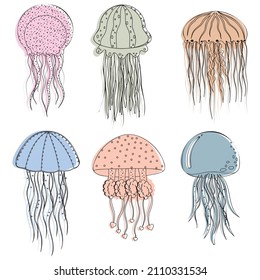 Set of multicolored jellyfish isolated on a white background, color vector illustration