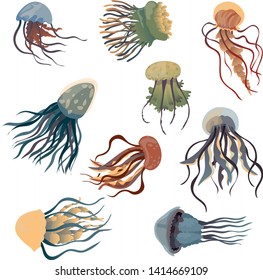 Set of multi-colored jellyfish. Vector illustration on white background.