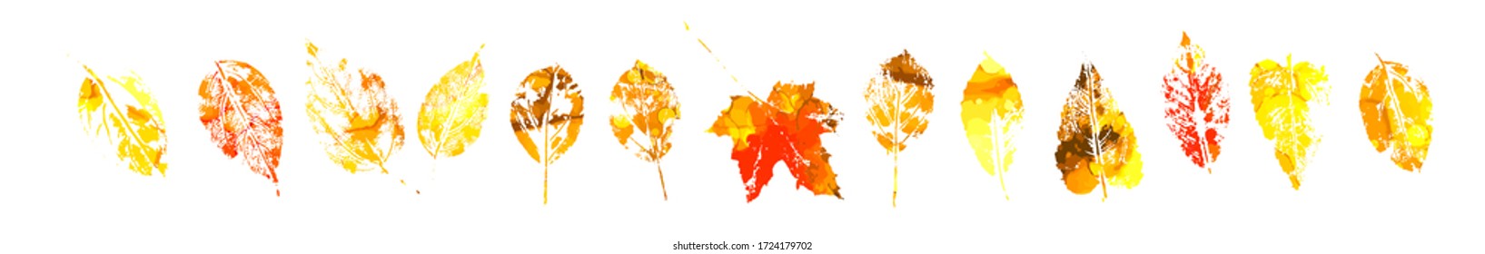 A set of multicolored leaf prints. Mixed media. Vector illustration