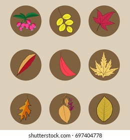 Set of multicolored leaves and berries on a dark background.