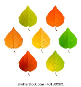 Set of multicolored leaves isolated on white background, illustration.