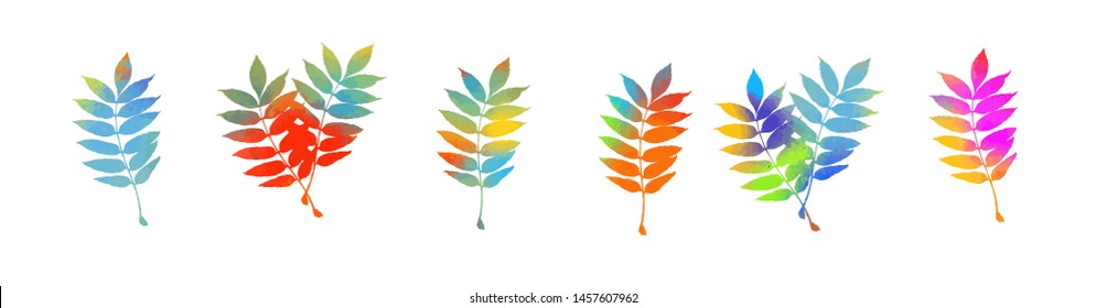 A set of multicolored leaves. Vector illustration