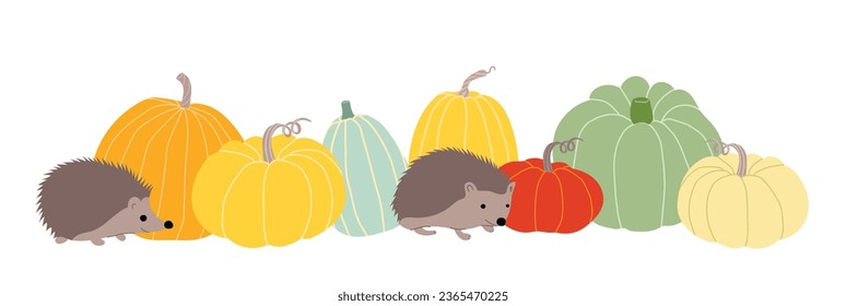 Set of multi-colored pumpkins and hedgehogs on a white background. Autumn illustration for Thanksgiving or harvest. Cute horizontal autumn banner