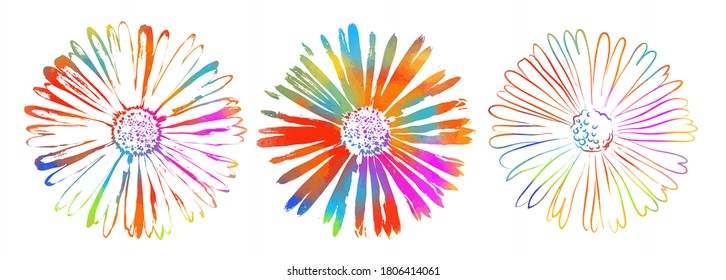 A set of multicolored rainbow flowers. Vector illustration