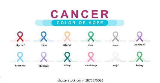 set of multicolored ribbons symbol of cancer of internal organs on a white background