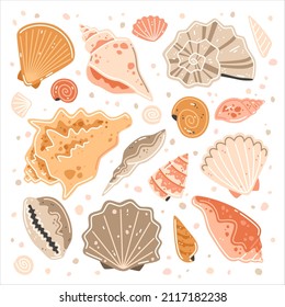 Set of multicolored sea shells. Vector Flat illustration collection