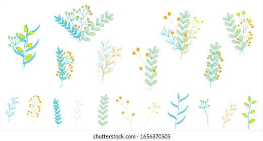 Set of multi-colored tender simple field plants and bouquets of cute flowers in doodle style. Yellow, blue, green colors. Isolated objects on a white background. Vector stock illustration.