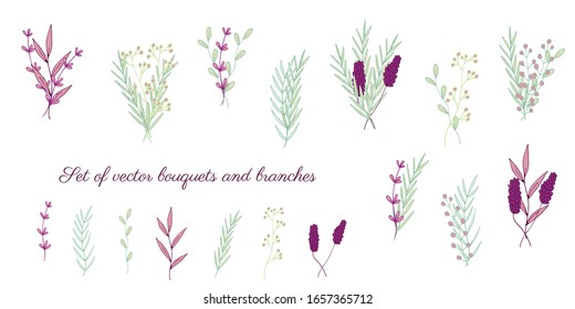 Set of multi-colored tender simple field plants and bouquets of cute flowers in doodle style. Pink, light green, burgundy colors. Isolated objects on a white background. Vector stock illustration.