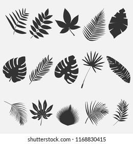 Set of multicolored, tropical leaves on a beautiful background